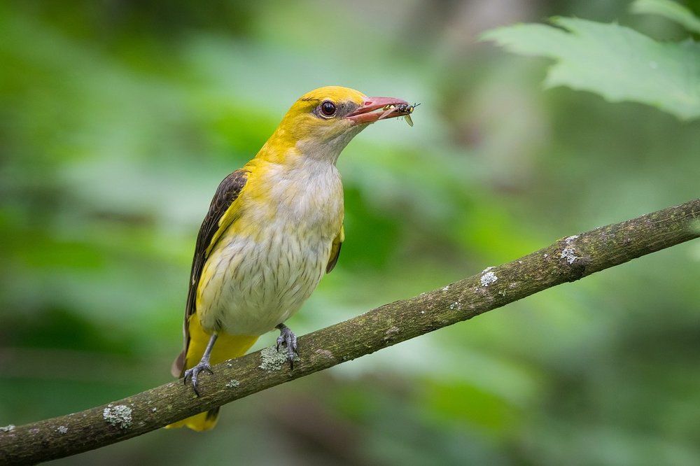 Photograph by Дмитрий Вилюнов