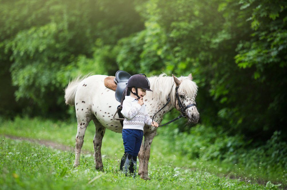 Спортивный друг