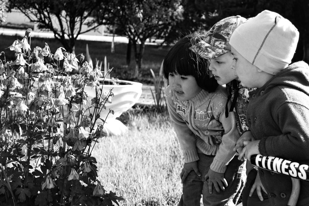 познание мира