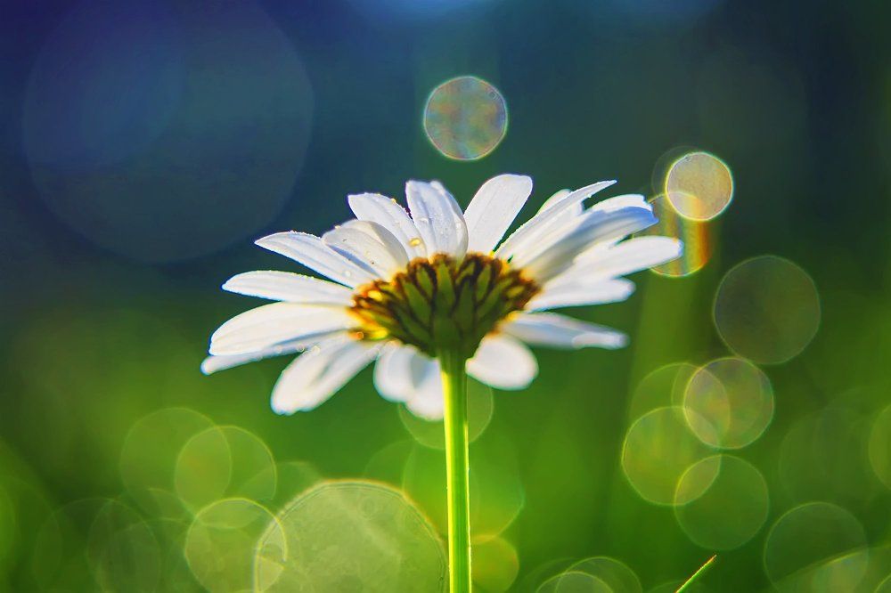 На встречу новому дню