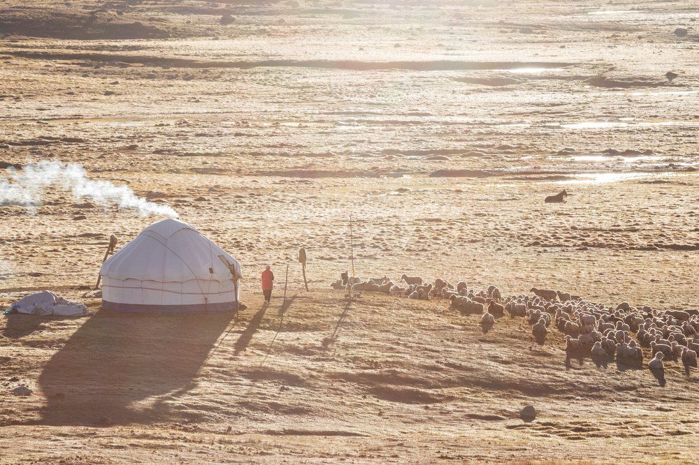 Будни чабана