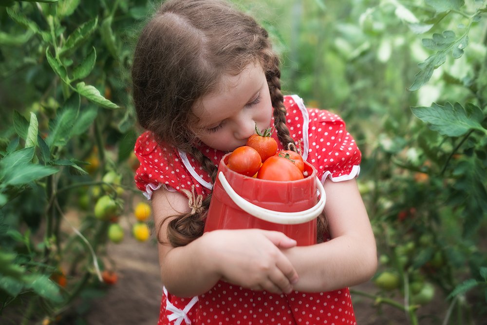 Лето на даче