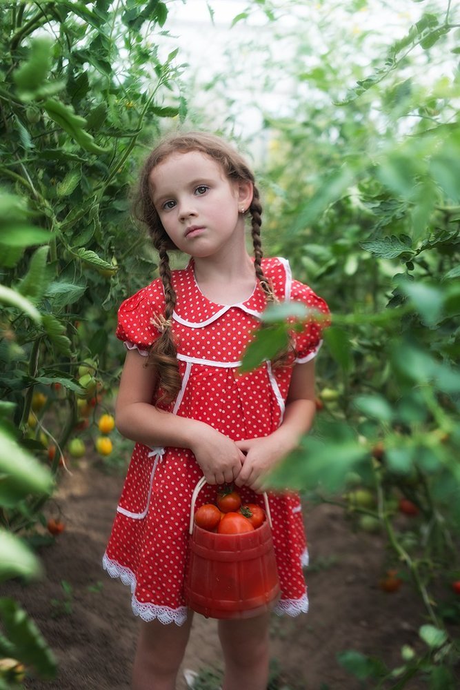 Лето на даче