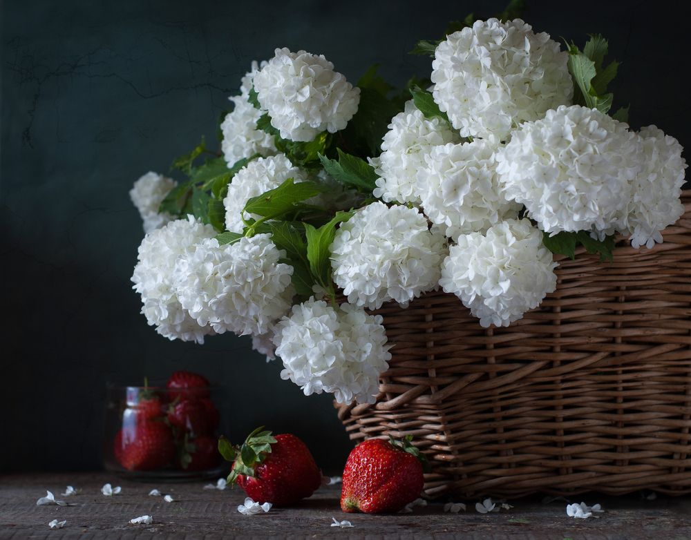 Натюрморт с бульденежем и клубникой