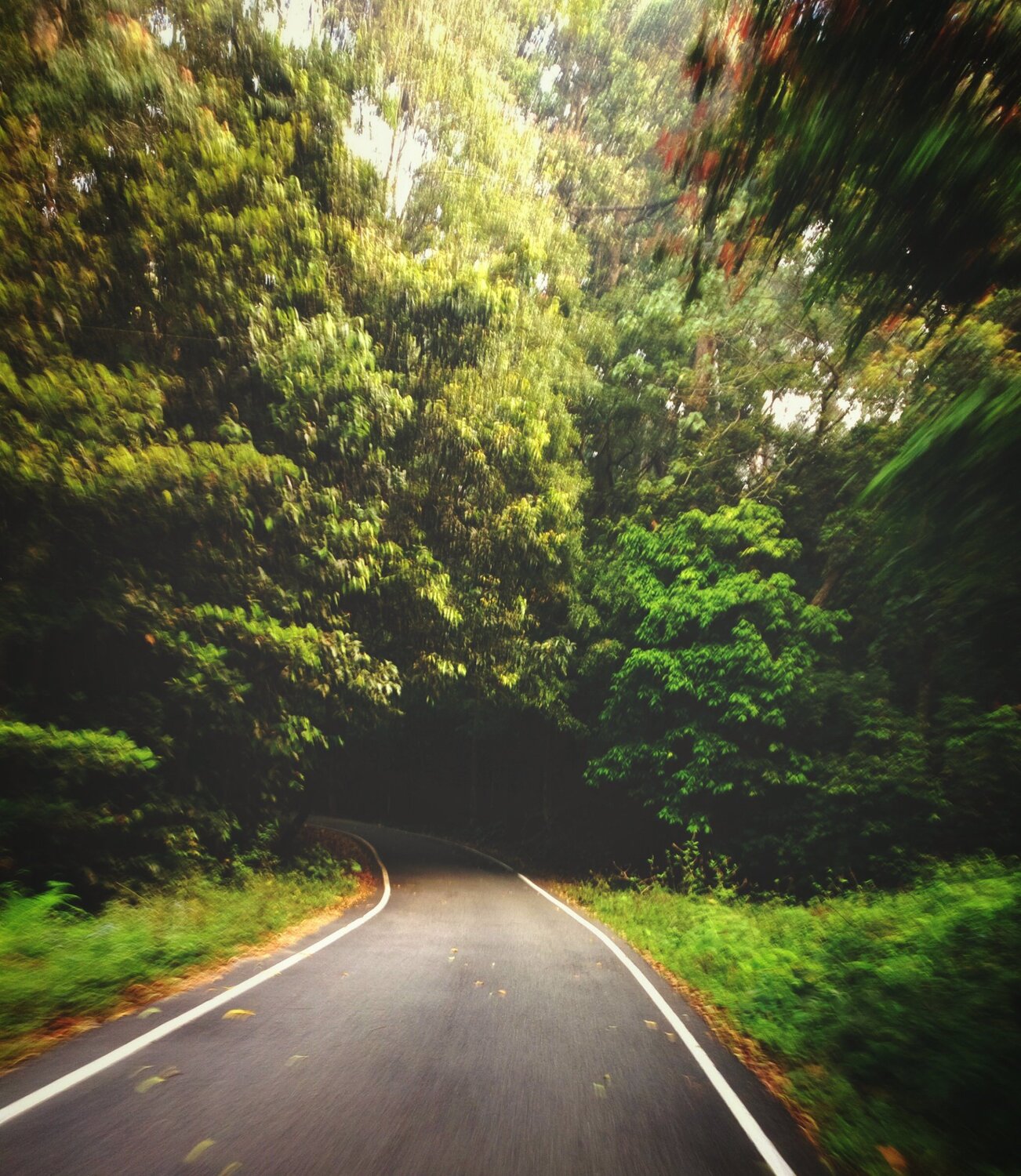 Valparai RidersHeaven