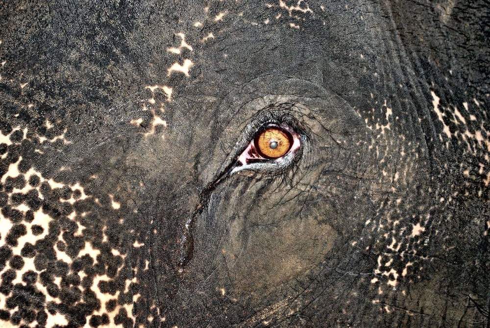 Shot Me dont Shoot Me