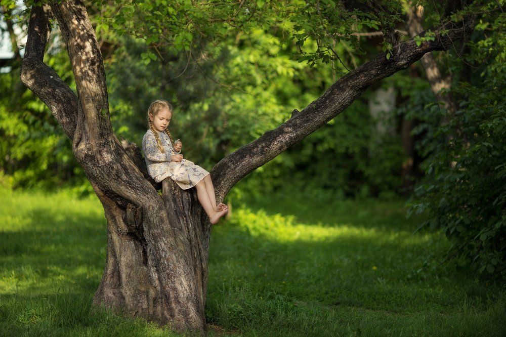 дерево на котором растут девочки
