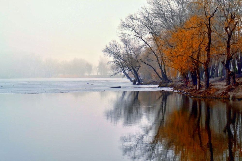 Зимнее утро...