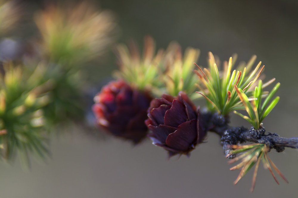 Краски осени