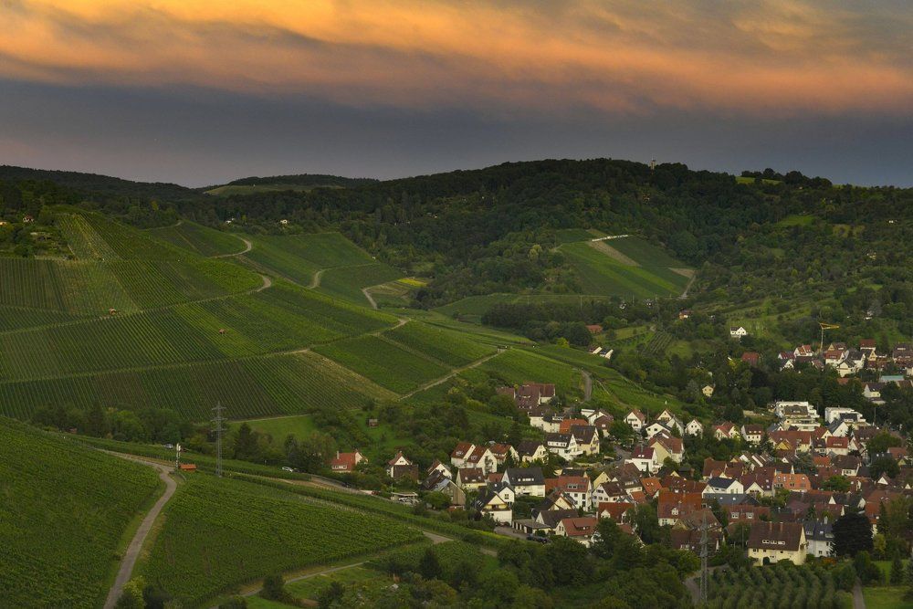 Вид с горы Розенберг, Германия