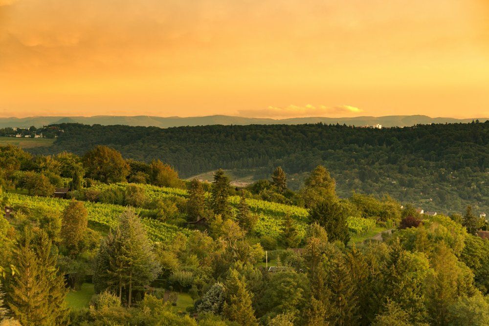 Затишье после бури