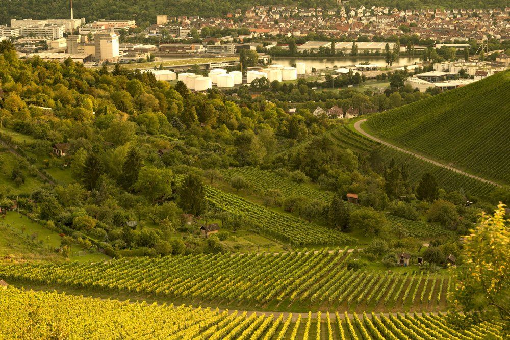 Затишье после бури