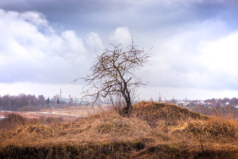 Photograph by Александр Путило