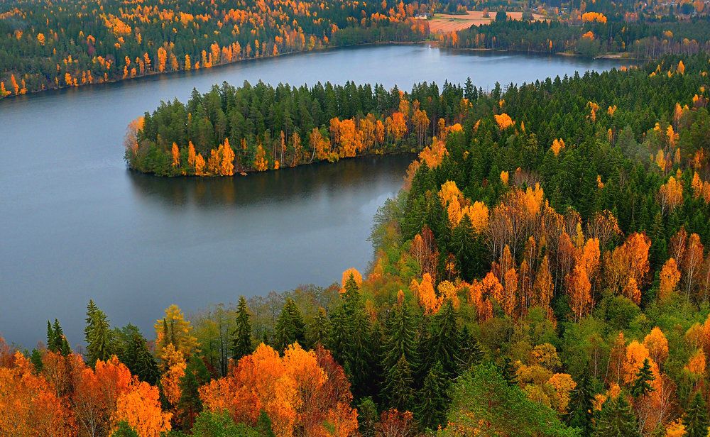 финский пейзаж