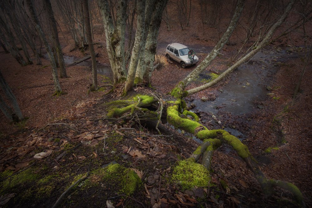 Photograph by Oleg Feofanov