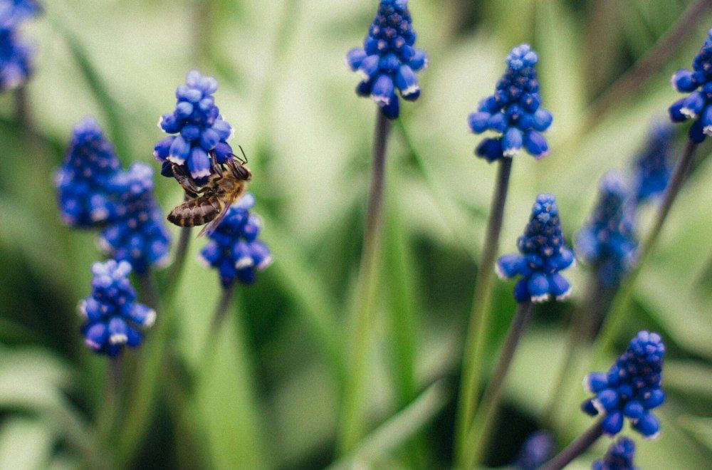 Photograph by Волкова Дарья