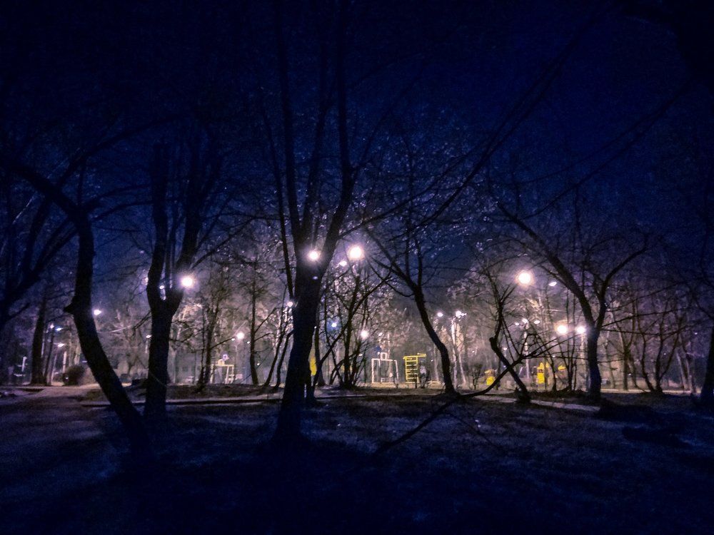 зимний вечер в городском парке
