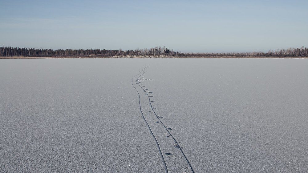 Исчезнувший