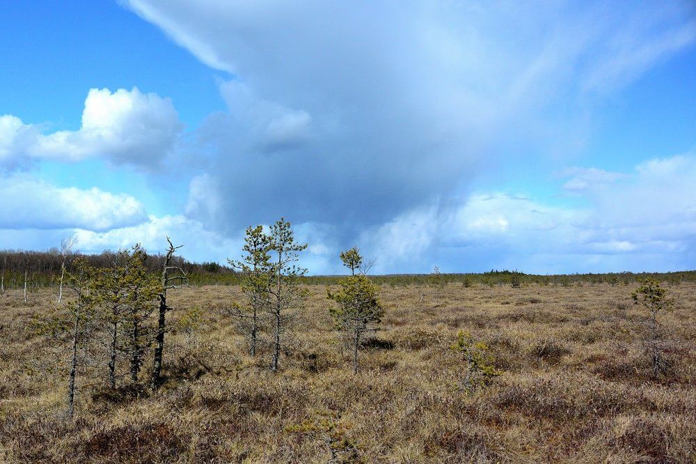 Полистовский ландшафт