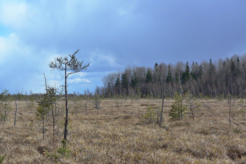 Полистовский ландшафт