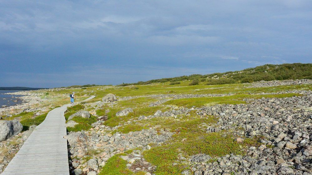 Остров Большой Заяцкий. Типичный ладшафт
