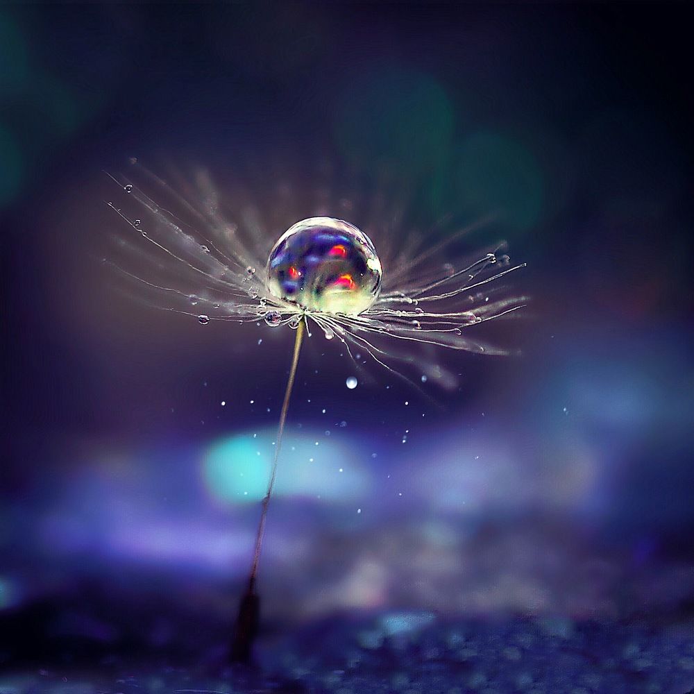 Своя вселенная