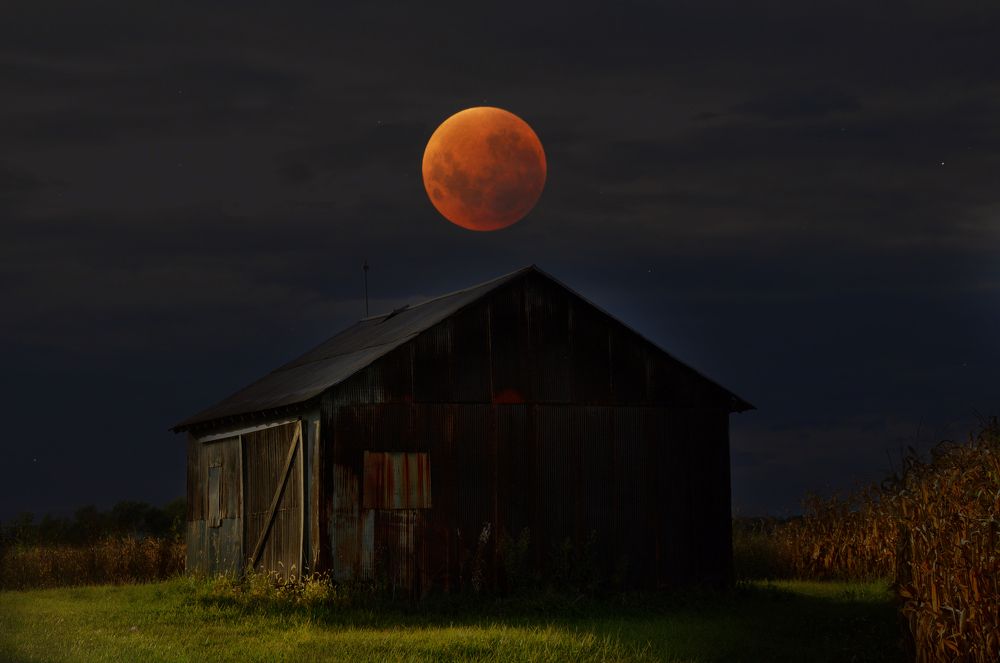 Photograph by Tiffanie Mora