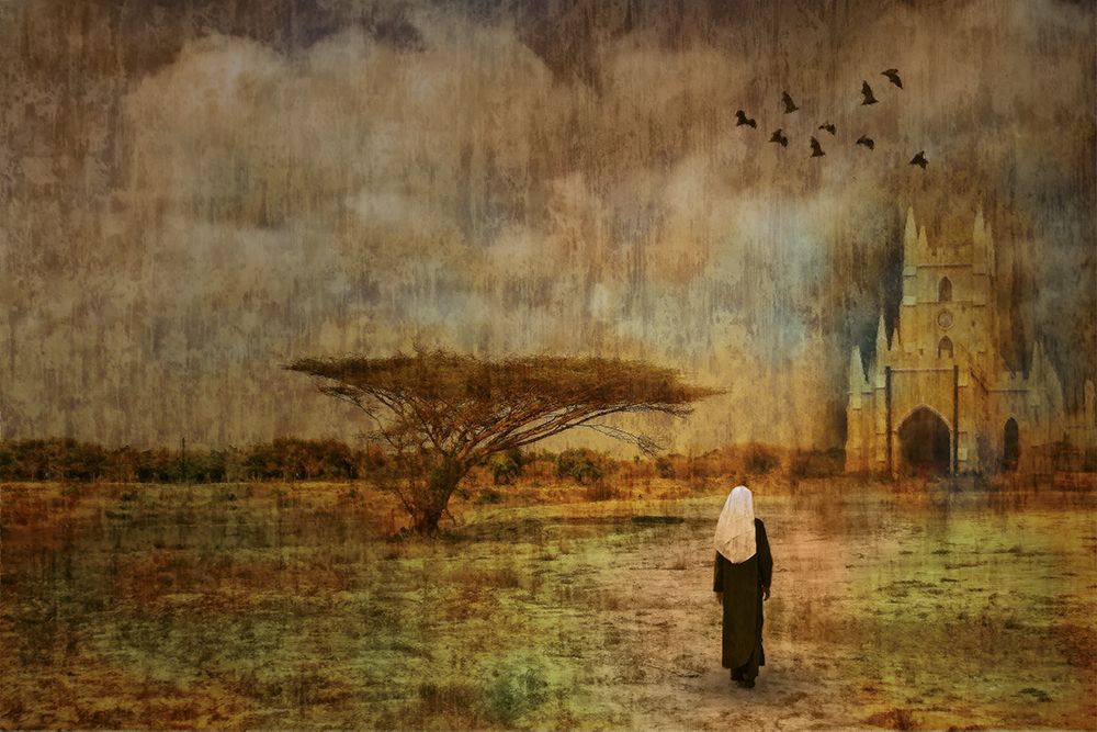 Searching for Solace