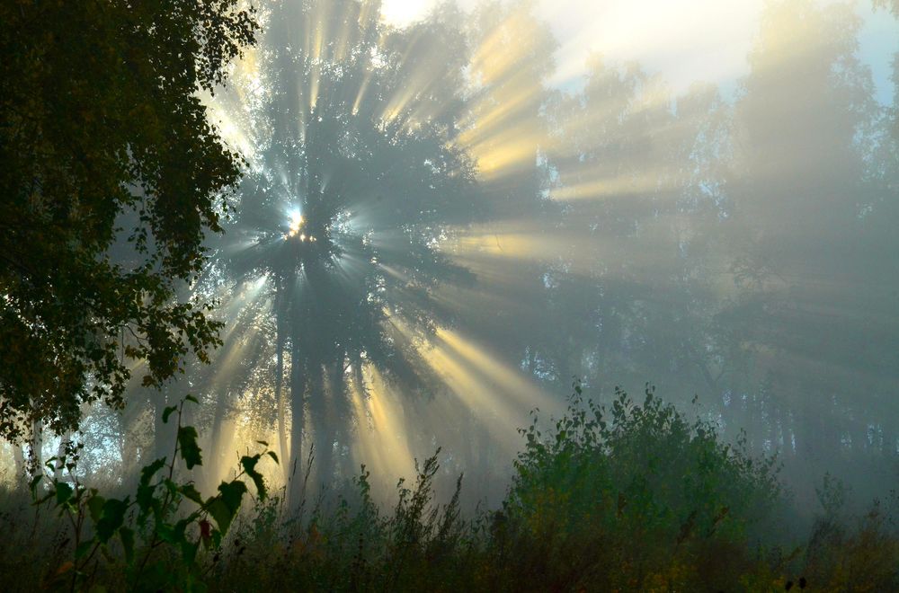 Запах солнца