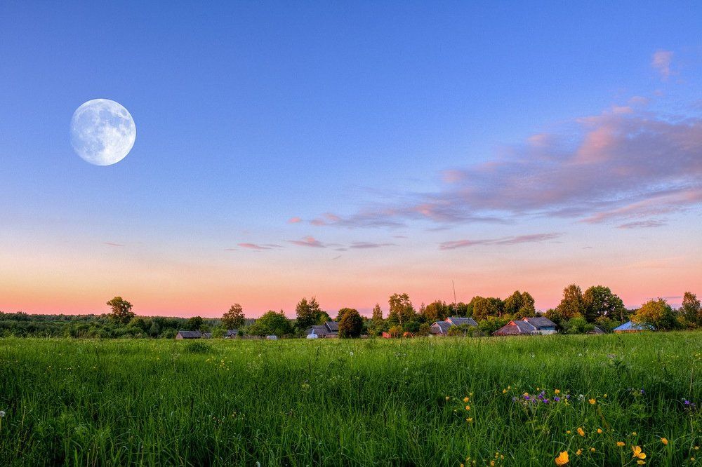 Деревенька моя в травах утонула.