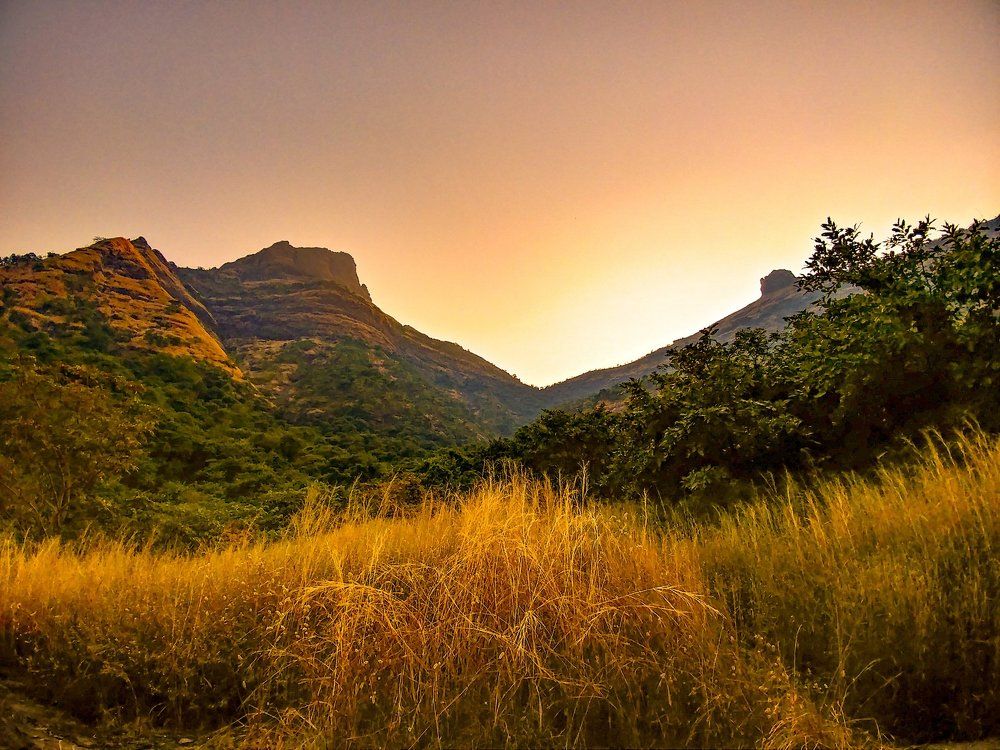 Nature photography