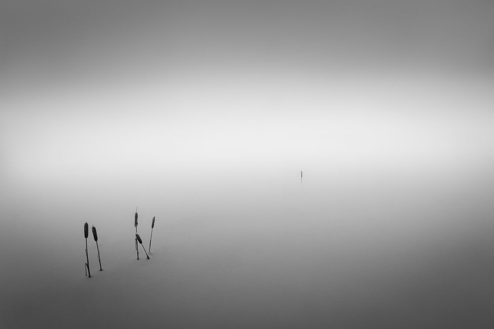 О прощании /  Parting