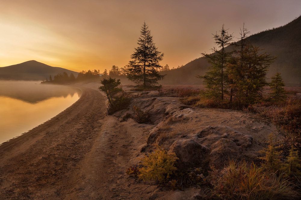 Туманное утро Джека.