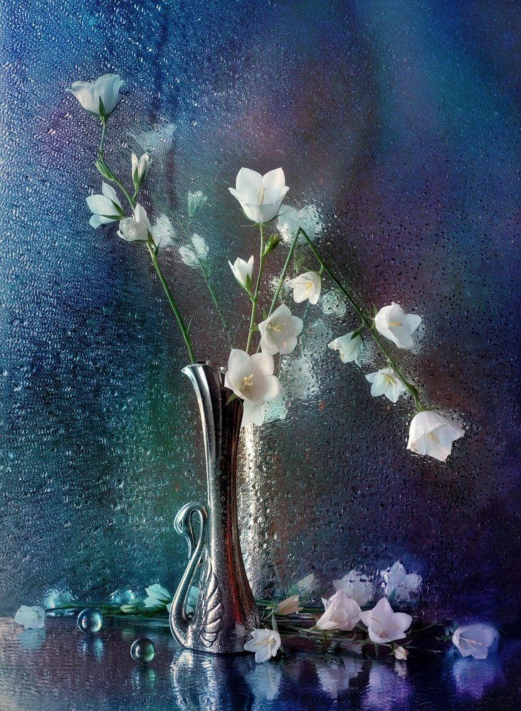 Моя фантазия