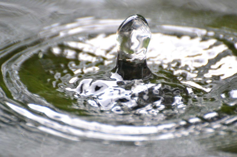 Застывший мир в одной капле воды