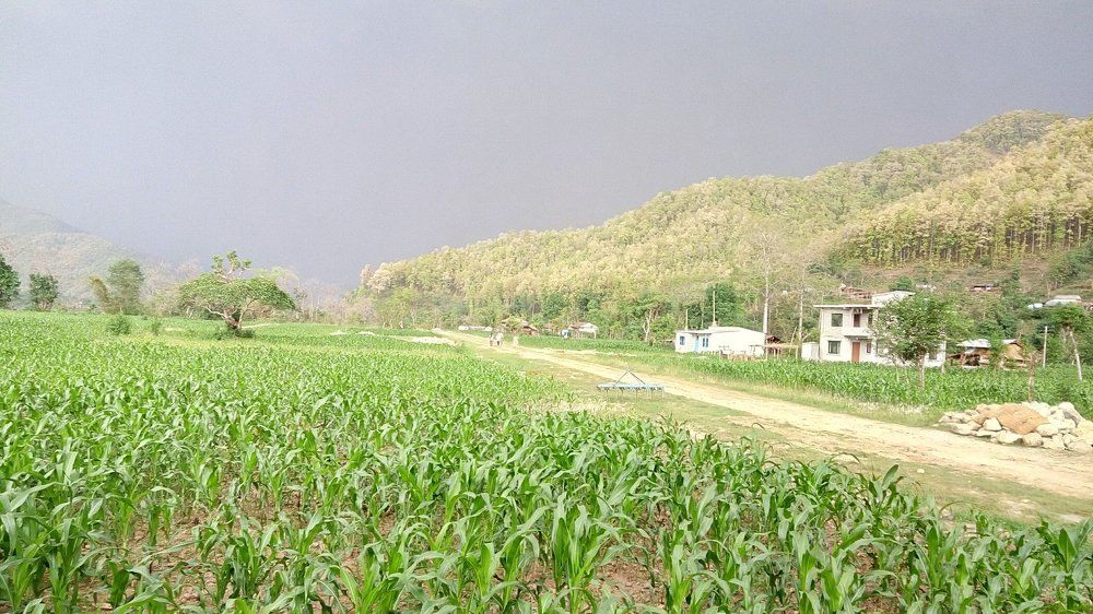 Just Before Rain