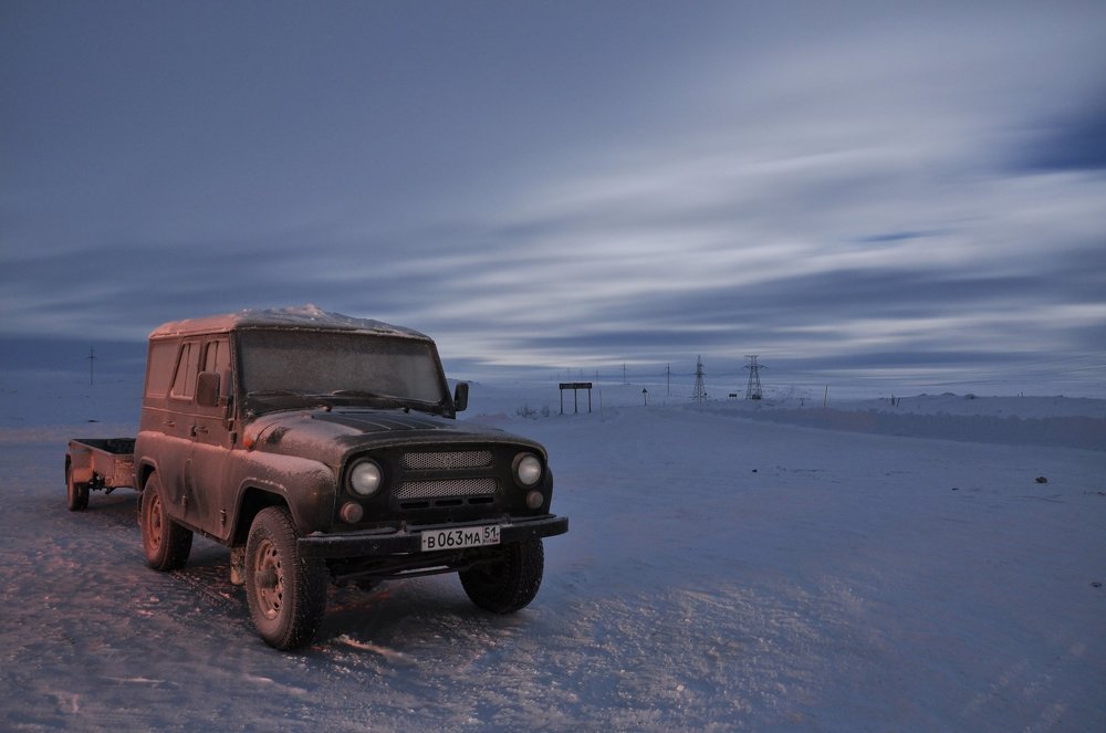 Полярный зверь