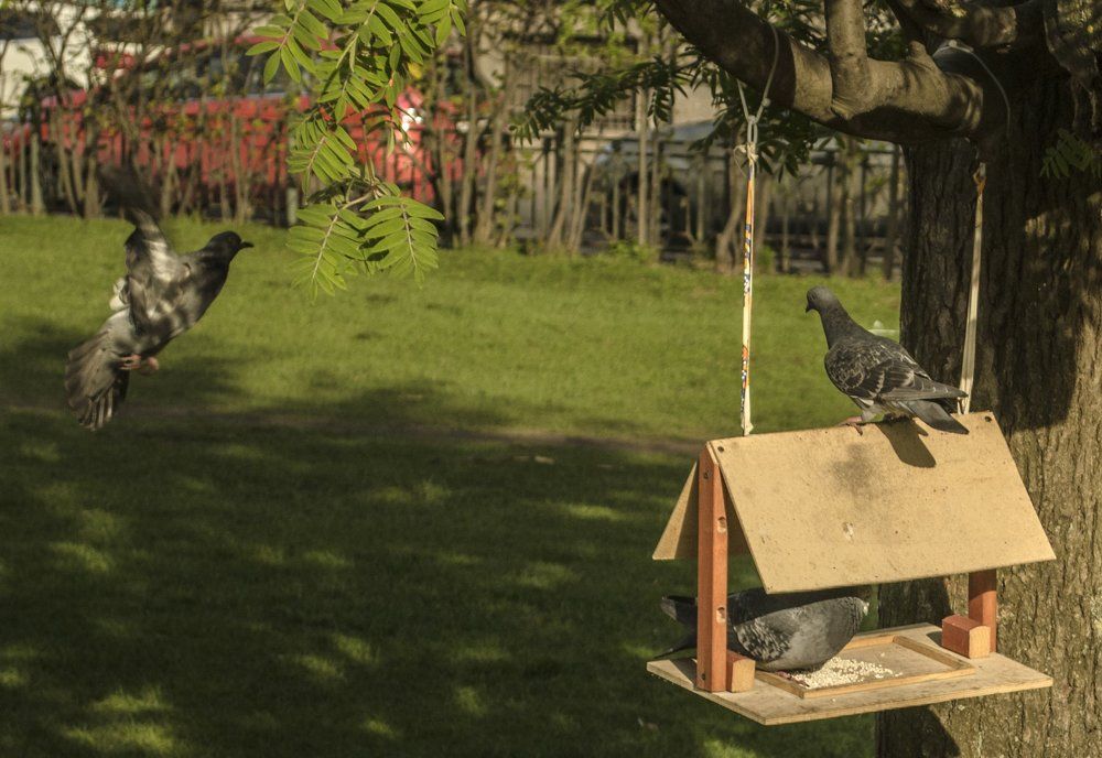 Разрешите к вам  припарковаться