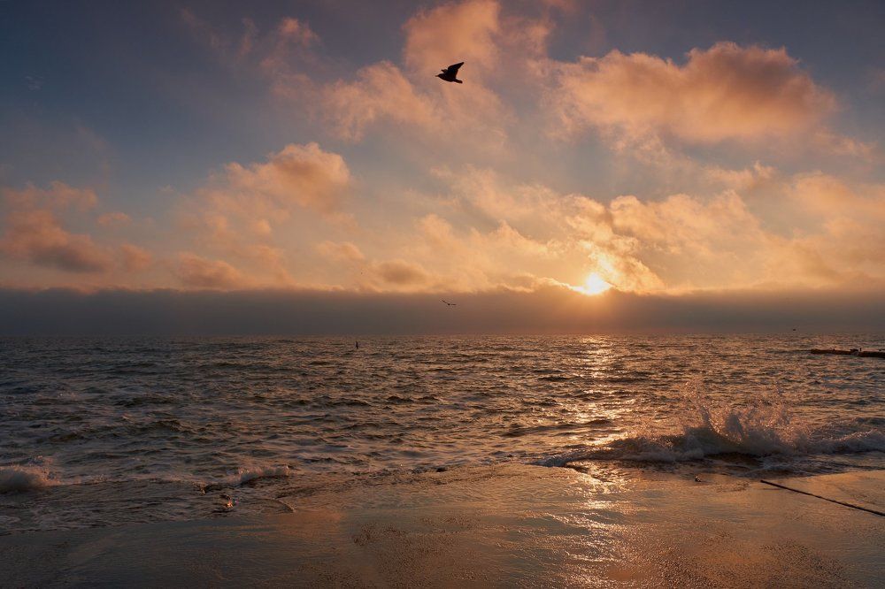 Рассвет и море