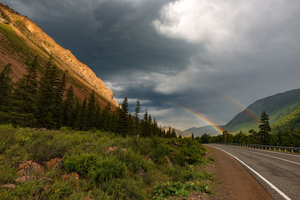 После дождя