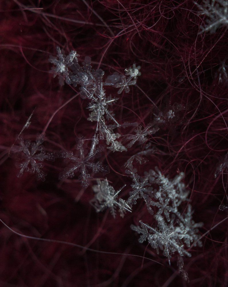 Снежная красота