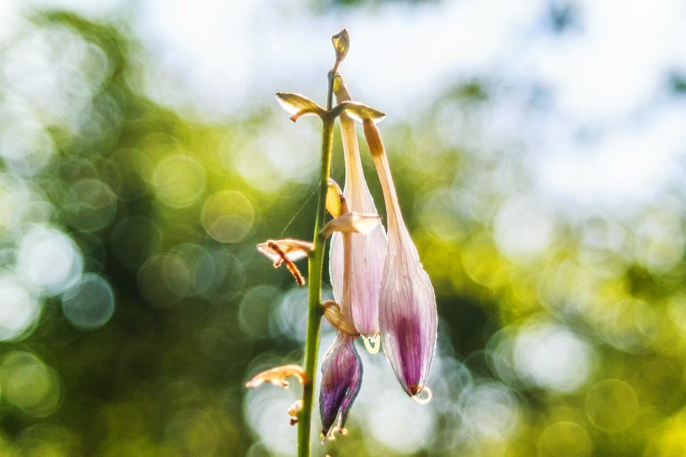 вот лето подошло к концу ...