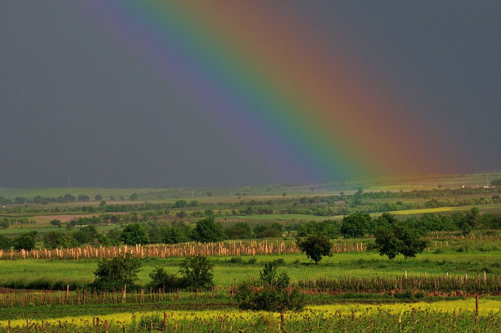 Радужная картина