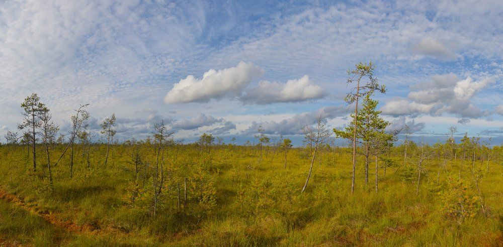 Облако, бегущее над тундрой