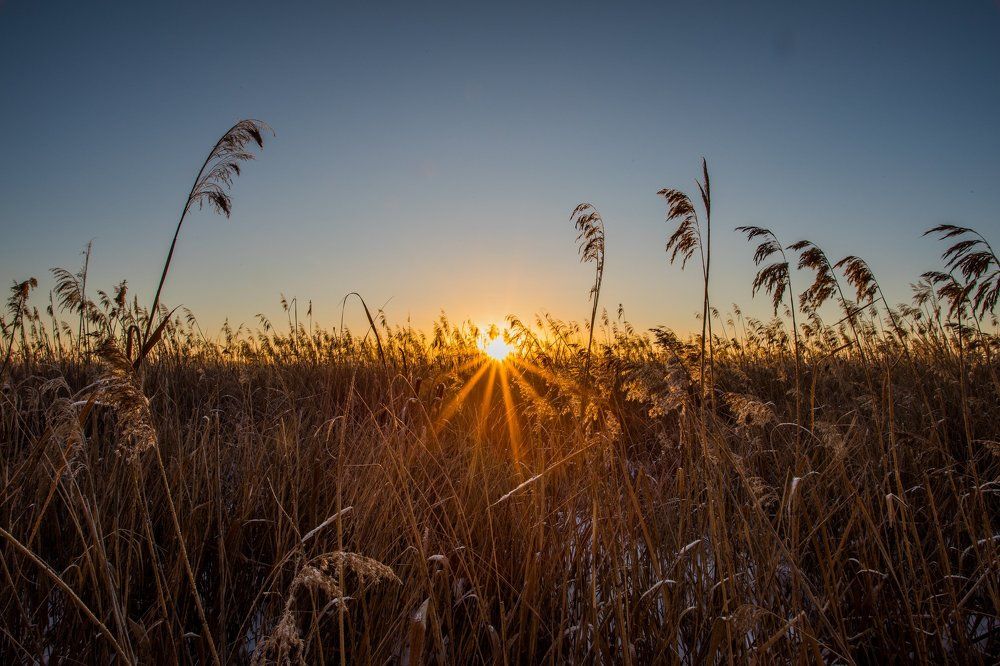 Рассвет на оз.Сугомак