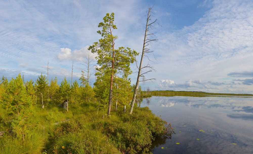 Глаз болота