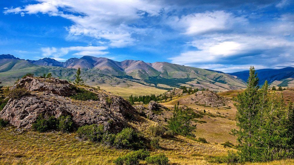 Красавец, Горный Алтай.