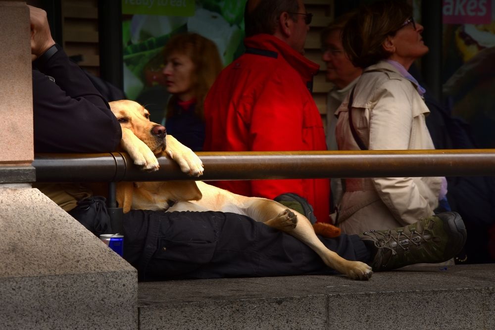 Мысли о вечном в городской суете