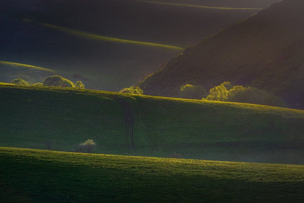 Солнечные холмы