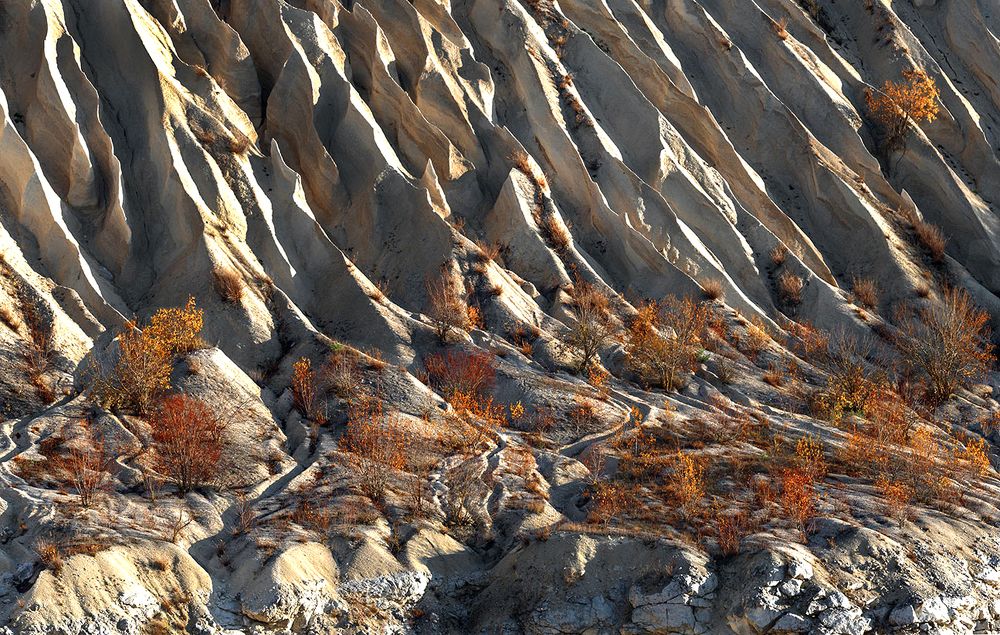 Путешествия в ноябре.